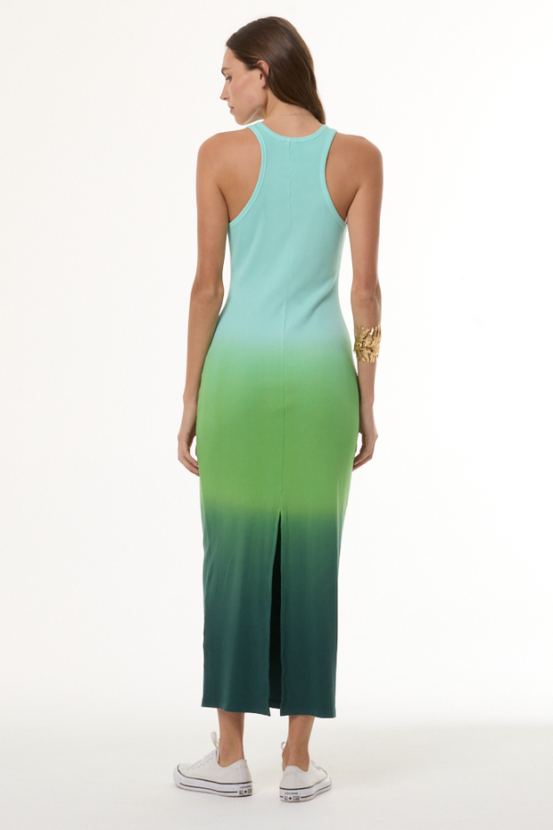 dixie maxi dress green ombre Women's Iggy Rib in Retro by YFB and sexy strapless maxi Back Style:Zipper For The Frill Of Embellished Dresses