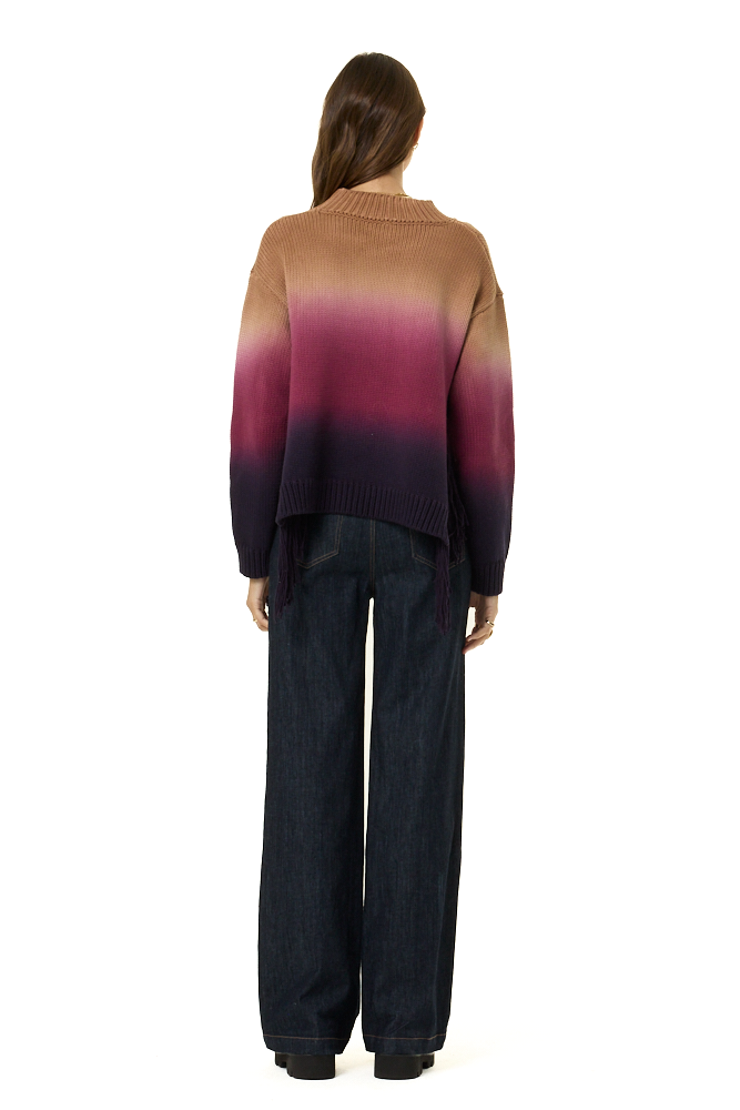 A woman viewed from the back wearing a knit sweater with a vertical ombré color-block pattern in tan, burgundy, and dark purple, paired with dark wide-leg jeans against a plain white background.